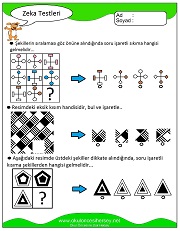 Zeka Gelişim Testleri